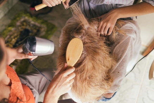 Pet Grooming